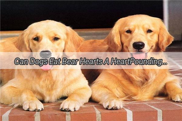 Can Dogs Eat Bear Hearts A HeartPounding Discovery